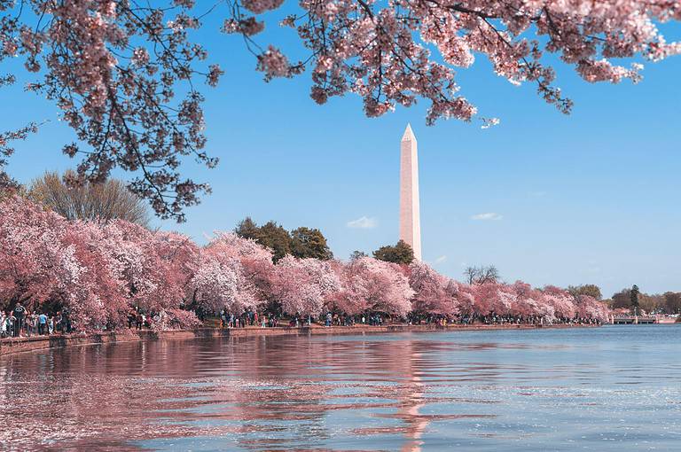 A Locals Guide to Washington DC