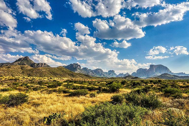 The Best Time to Visit Big Bend National Park