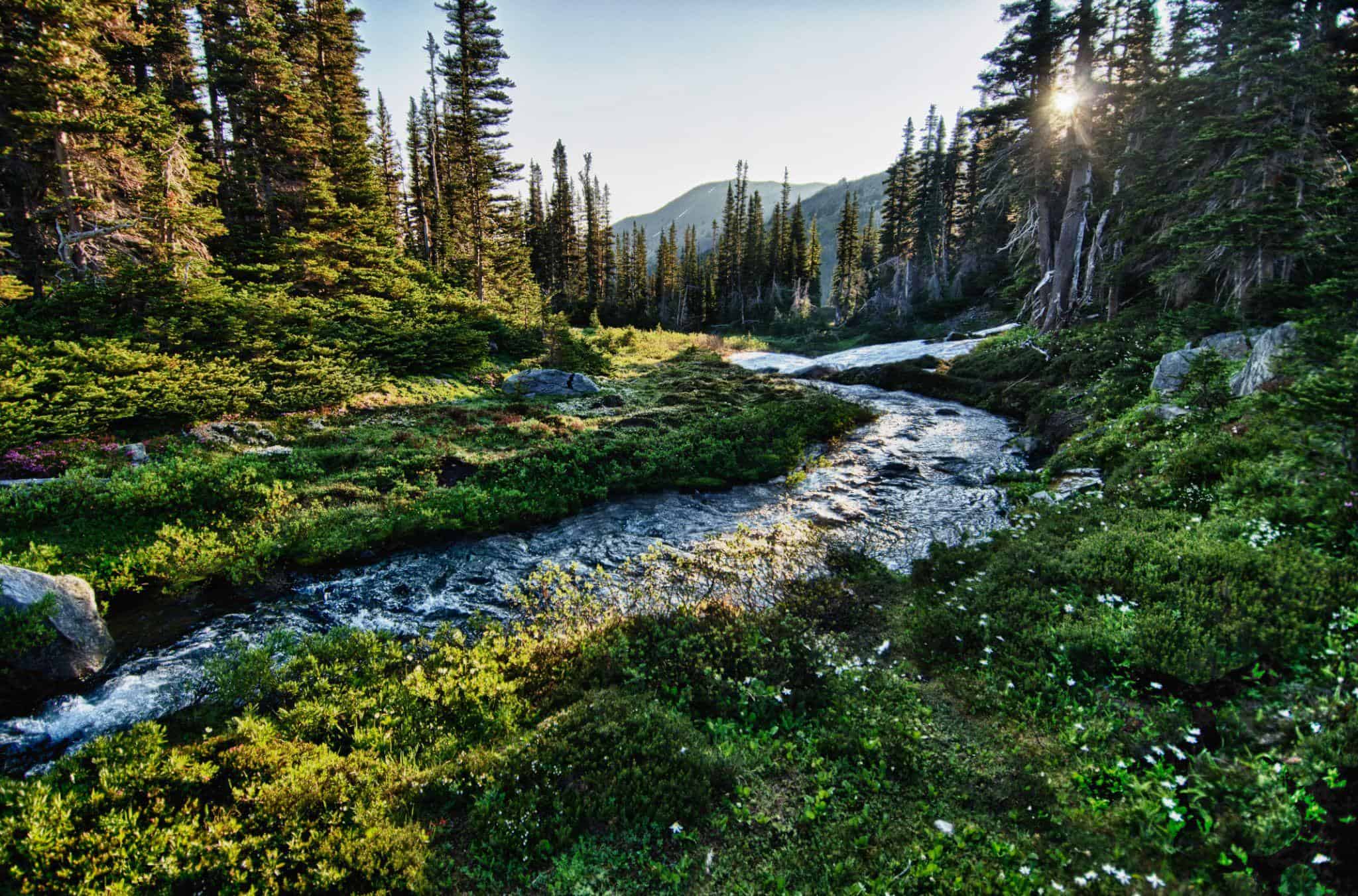 the-best-time-to-visit-olympic-national-park-going-locations